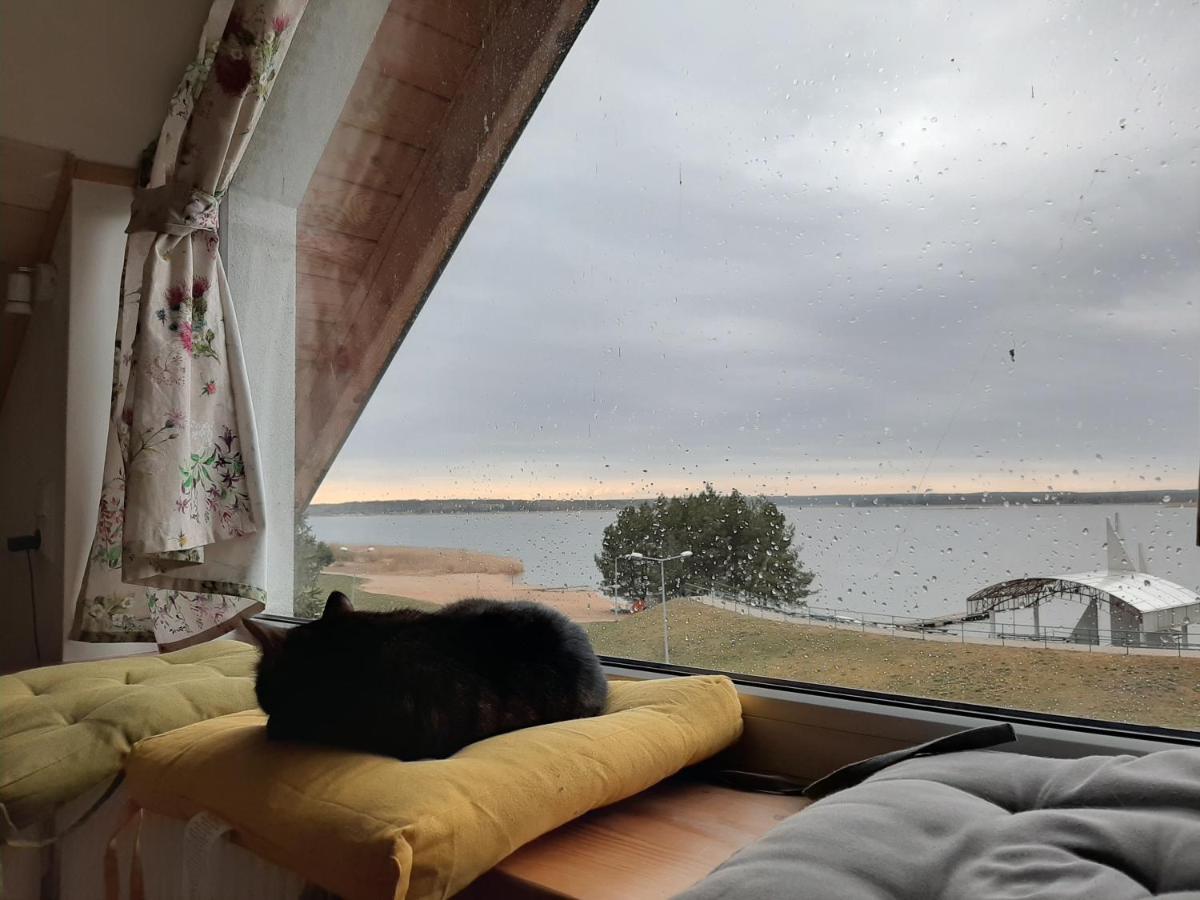 Zubr Nad Zalewem Lejlighed Luka Eksteriør billede